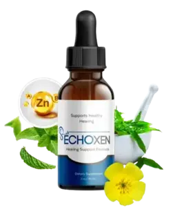 EchoXen