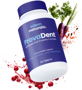Provadent