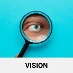 Vision