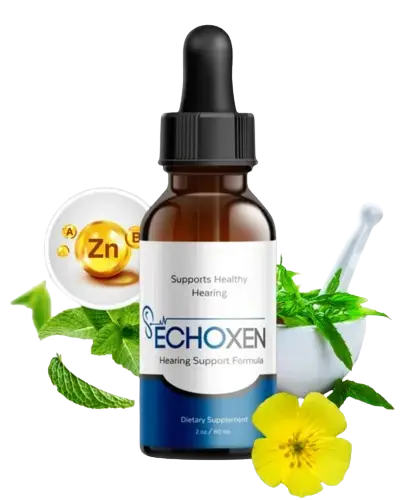 EchoXen